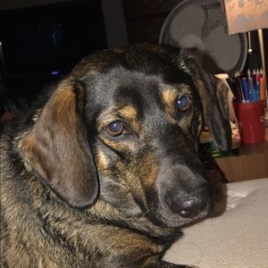 Meet your Posher, Lena